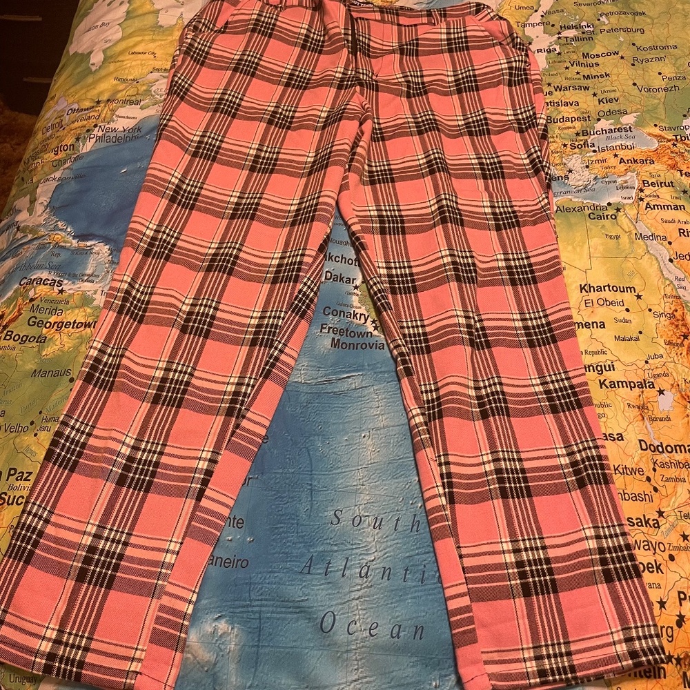 Hot Topic Pink Plaid Pants XL
